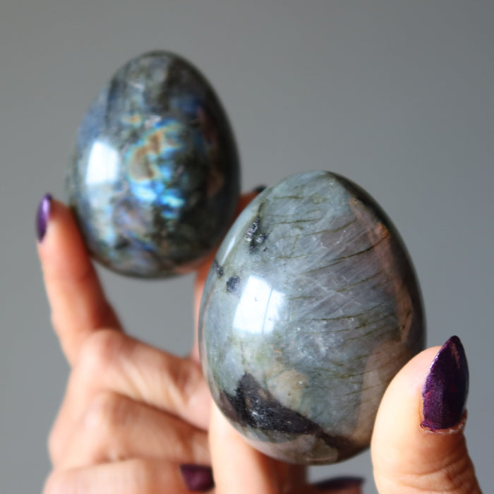 Labradorite Egg Bundle of 5 Rainbow Peacock Stones