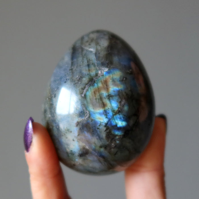 Labradorite Egg Bundle of 5 Rainbow Peacock Stones