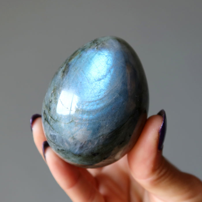 Labradorite Egg Bundle of 5 Rainbow Peacock Stones