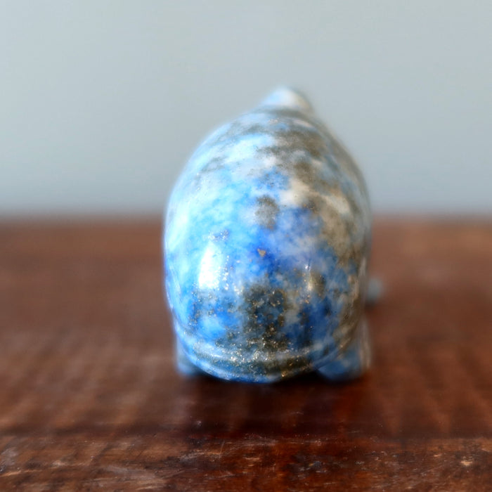 Lapis Dolphin Unstoppable Ocean Joy Wounded Warrior