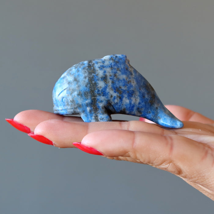 Lapis Dolphin Unstoppable Ocean Joy Wounded Warrior