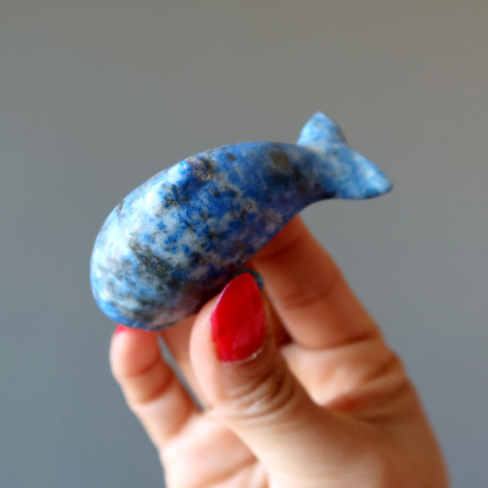 Lapis Dolphin Unstoppable Ocean Joy Wounded Warrior