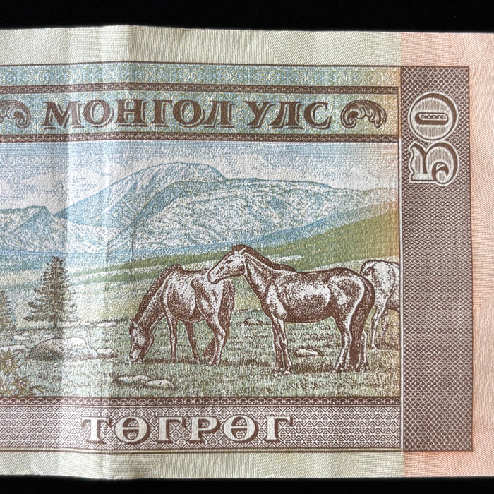 Mongolia Banknote 2016 Horses 50 Togrog Revolution Watermark UV Verified