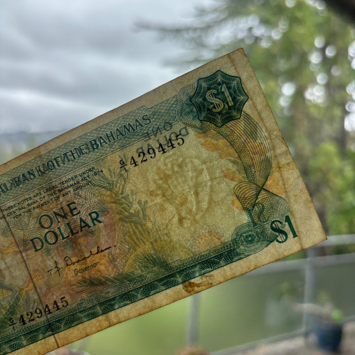 Vintage Banknote 1974 Bahamas Sea Garden Tropical Fish Queen Elizabeth Watermark