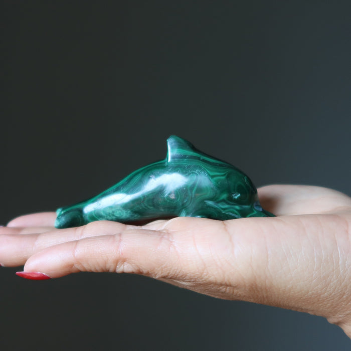 malachite dolphin