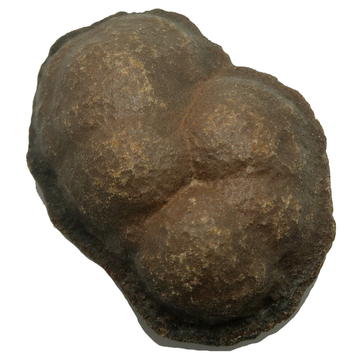 Rust-colored moqui marble cluster with a rough texture on a white background