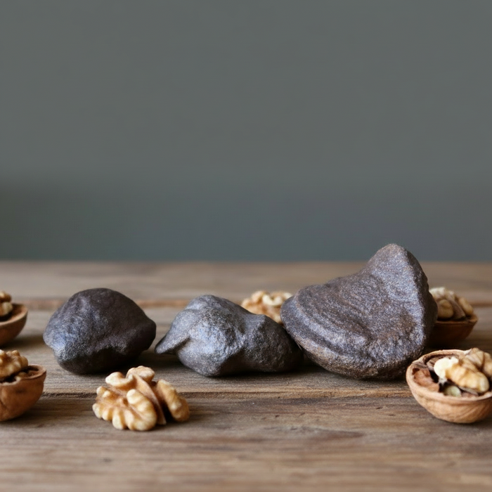 Moqui Marble Wise Walnut Protector Shaman Stone