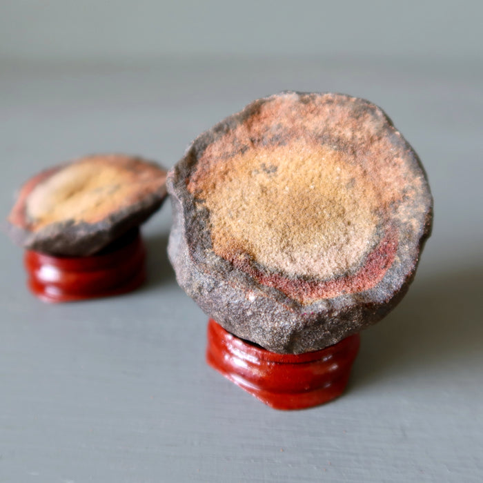 Moqui Marble Halves Shaman Stone Center Cut Display
