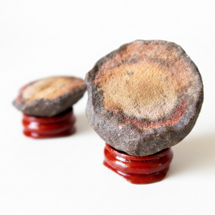 Moqui Marble Halves Shaman Stone Center Cut Display