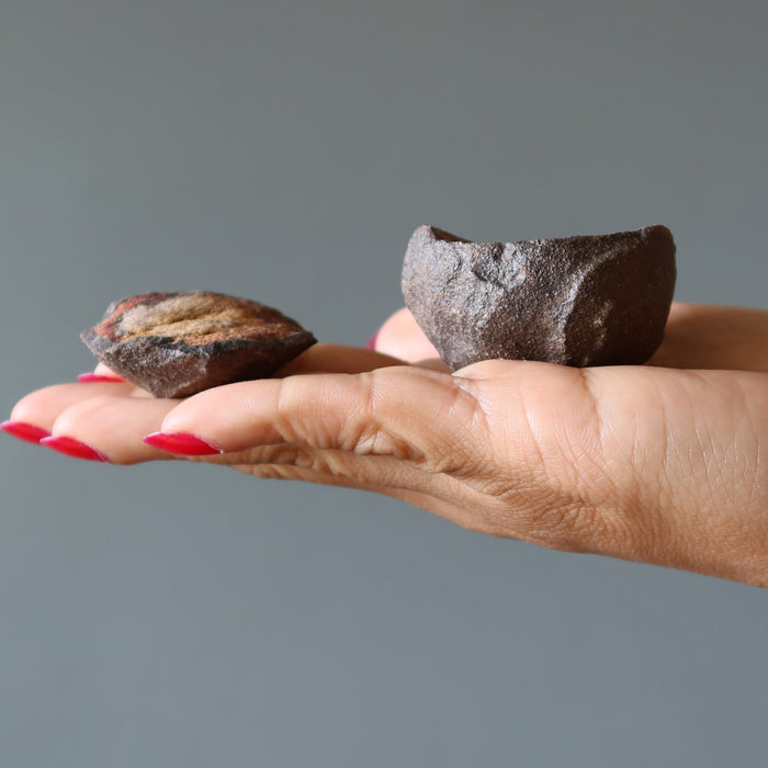 Moqui Marble Halves Shaman Stone Center Cut Display