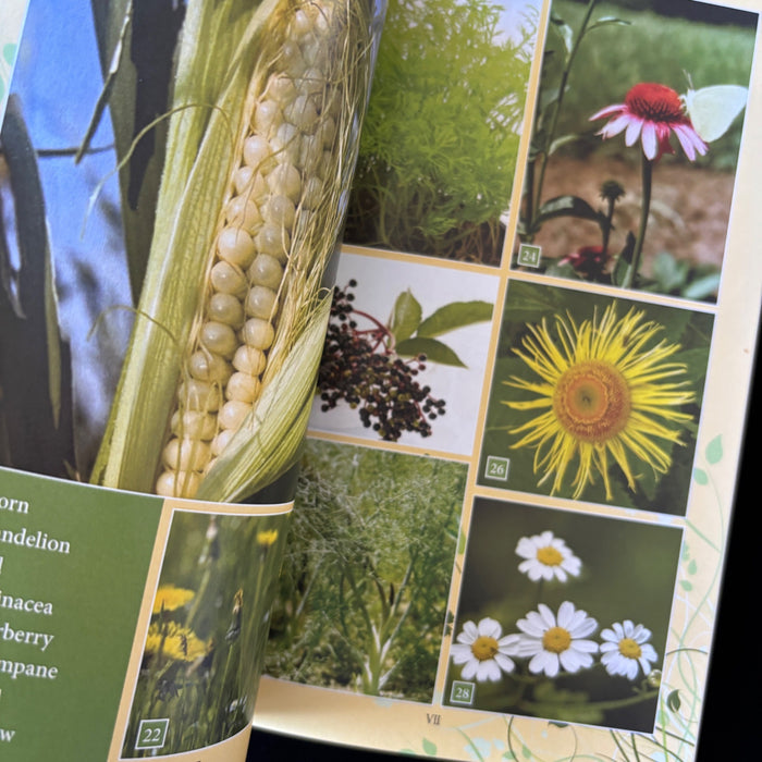 The Complete Guide Healing and Medicinal Herbs Book Wendy Vincent 2nd Ed