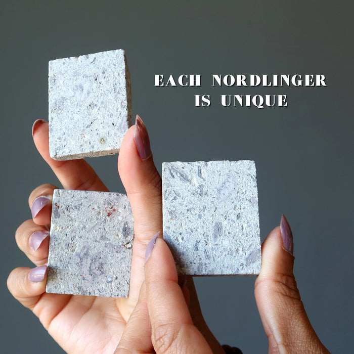 nordlinger ries crater meteorites