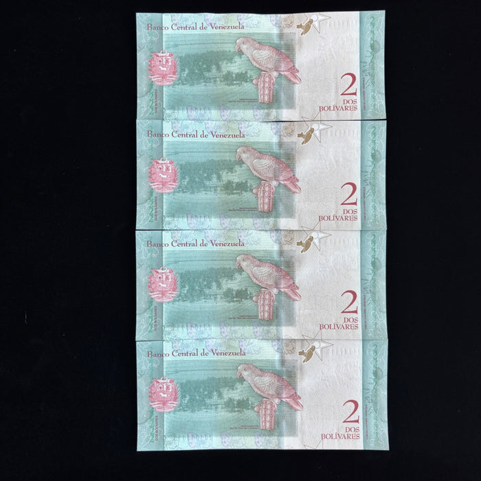 Consecutive Banknote Lot Venezuela Bolívares 2018 UV Watermark Heroine Run Set