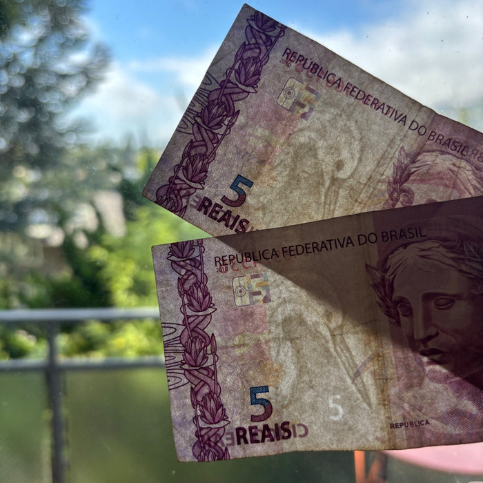 Brazil Banknote Lot 2, 5 Reias Wildlife Egret Bird Turtle Animal Watermark UV
