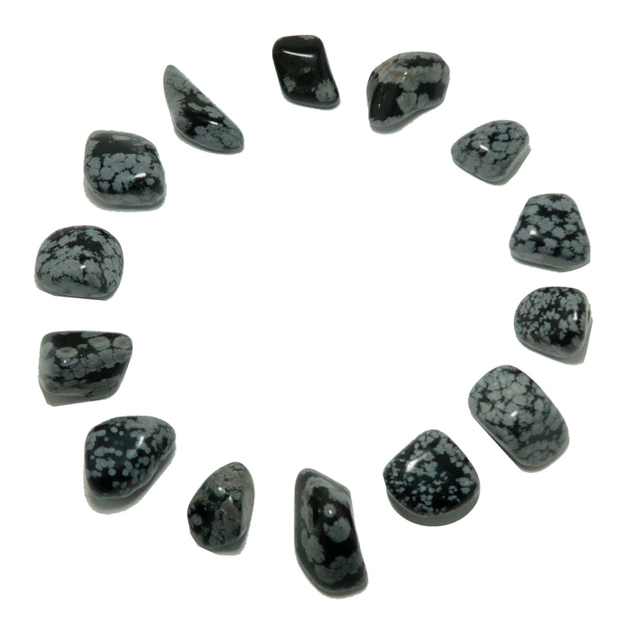14 snowflake obsidian tumbled stones