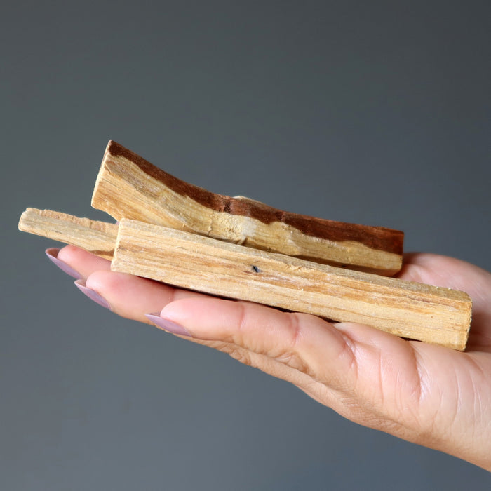 palo santo sticks on hand