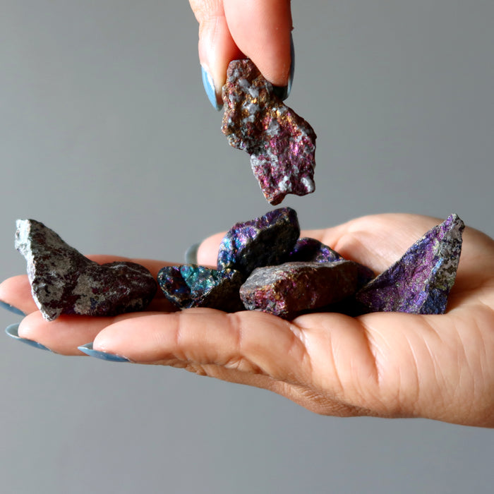 Peacock Ore Raw Bundle of 8 Rainbow Chalcopyrite Gems