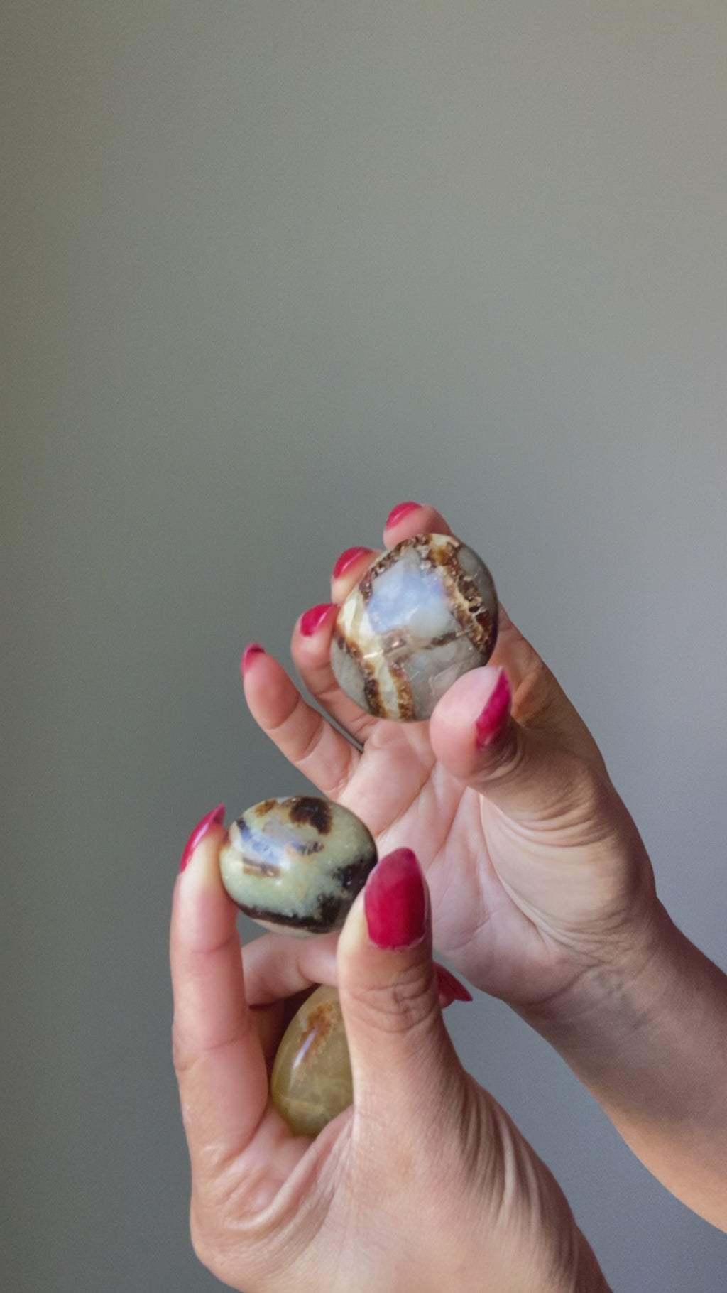 Septarian stone video