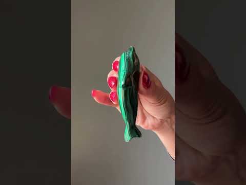 Malachite Dolphin video