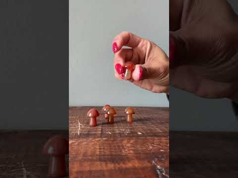 Carnelian Mushroom Forage Happy Red Orange Crystal video