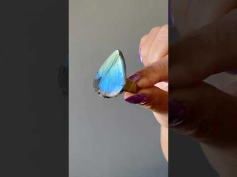 Labradorite Ring Brilliant Shiny Blue video