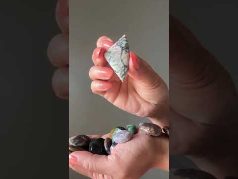 Jasper Grid Crystal Bundle Agate Cabochon Set of 16 video