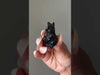 Black Obsidian Rabbit Adorable Protector Bunny video