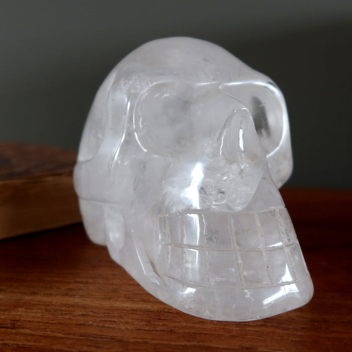 Clear Quartz Skull Carved Clarity Crystal 4.5" Showpiece