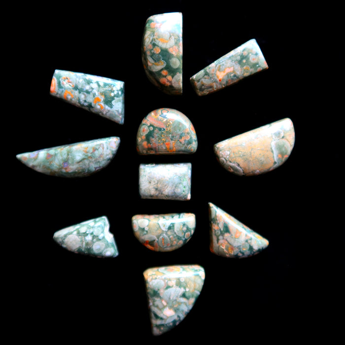 Rhyolite Grid Crystal Set of 11 Green Cabochon Rainforest Gems