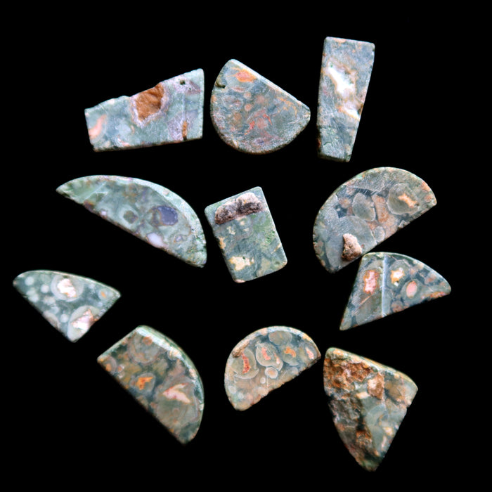Rhyolite Grid Crystal Set of 11 Green Cabochon Rainforest Gems