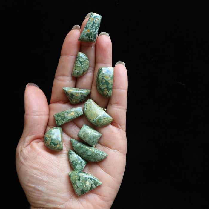 Rhyolite Grid Crystal Set of 11 Green Cabochon Rainforest Gems