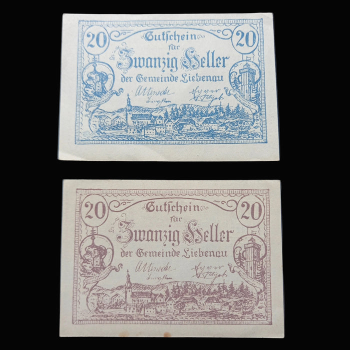 Antique Banknote 1920 Austria Liebenau Notgeld Emergency Money 20 Heller Variant Pair