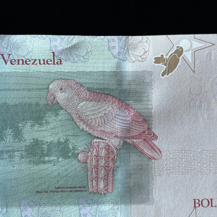 Consecutive Banknote Lot Venezuela 2 Bolivares Pair Josefa Camejo UV Verified