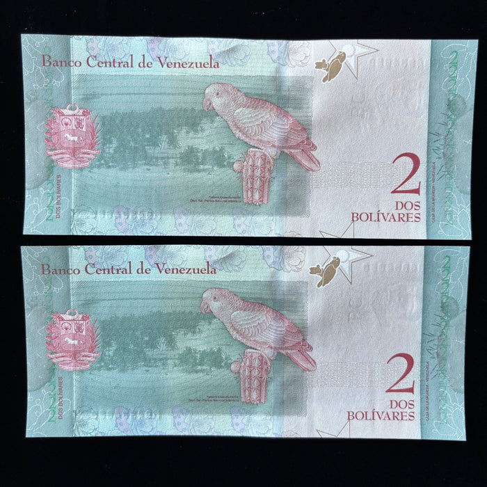Consecutive Banknote Lot Venezuela 2 Bolivares Pair Josefa Camejo UV Verified