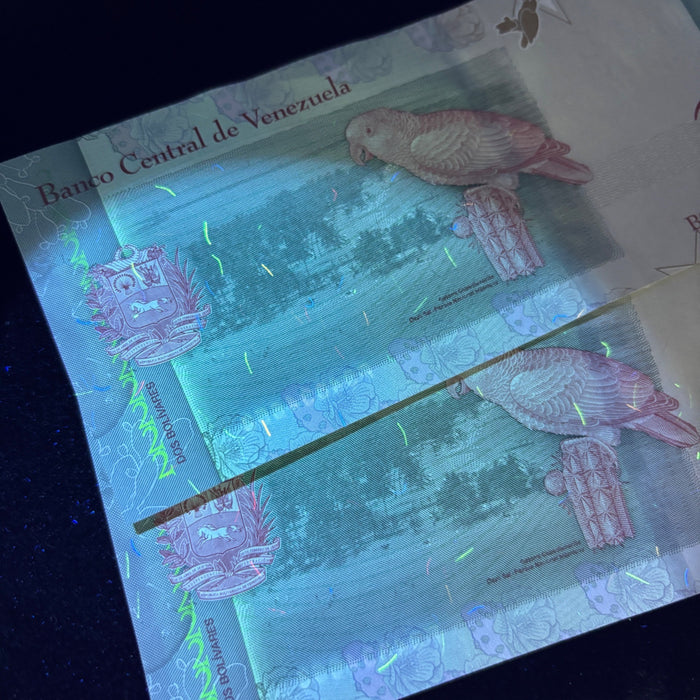 Consecutive Banknote Lot Venezuela 2 Bolivares Pair Josefa Camejo UV Verified