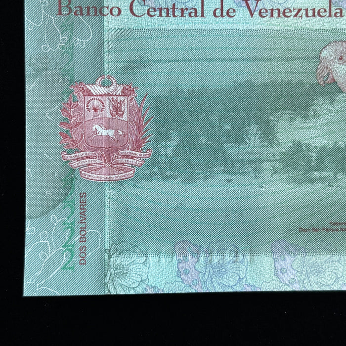Consecutive Banknote Lot Venezuela 2 Bolivares Pair Josefa Camejo UV Verified
