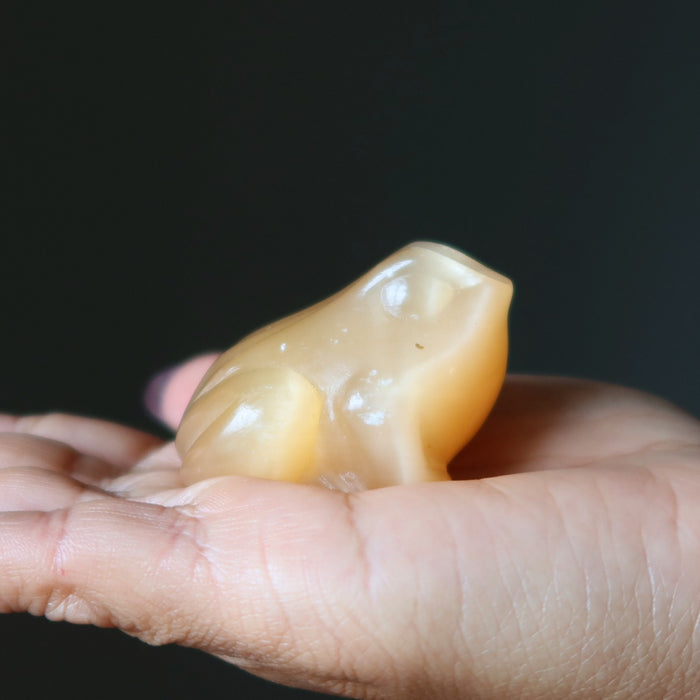 orange selenite bullfrog