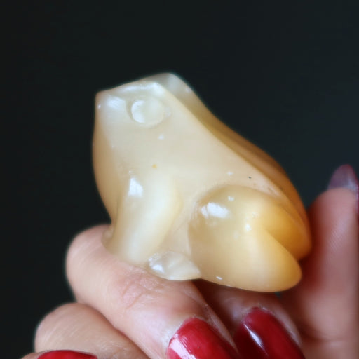 orange selenite bullfrog