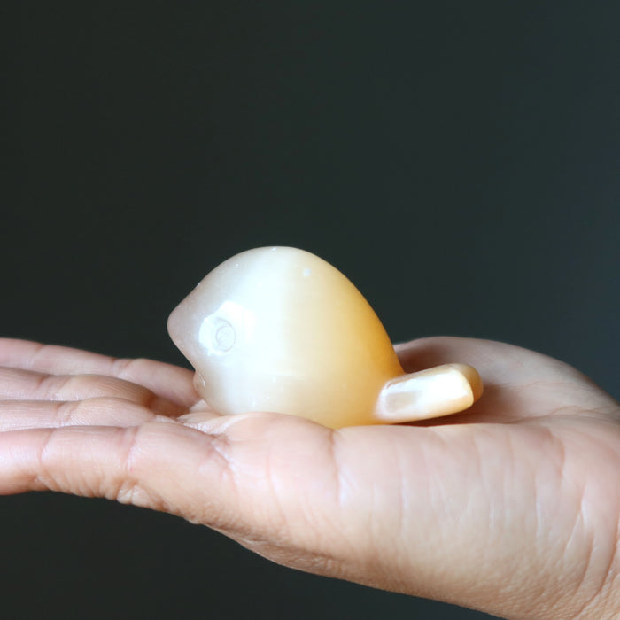 orange selenite whale