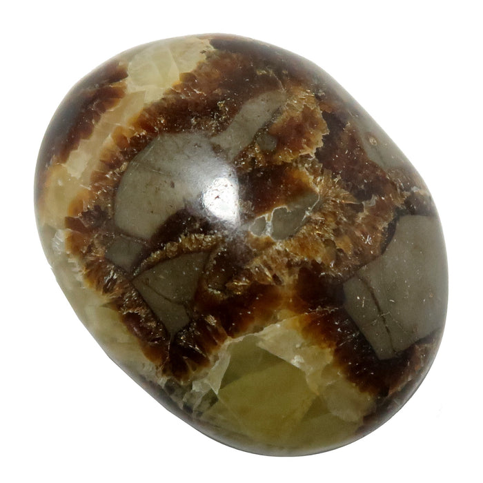 Septarian stone