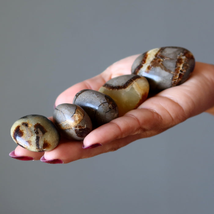 Hand holding a set of Septarian polished stones against a gray background