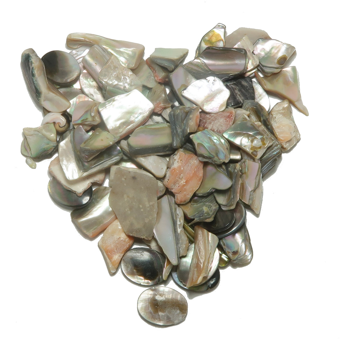 Shell Bundle Creativity Crafting Healing Crystal Energy Sea Set — Satin ...