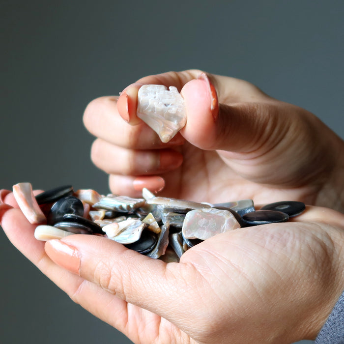 Shell Bundle Creativity Crafting Healing Crystal Energy Sea Set