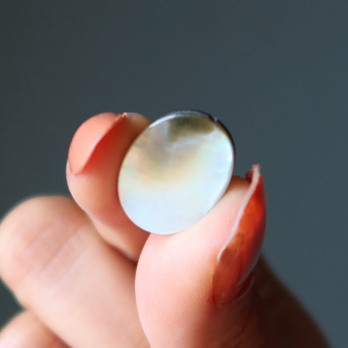 Shell Bundle Creativity Crafting Healing Crystal Energy Sea Set