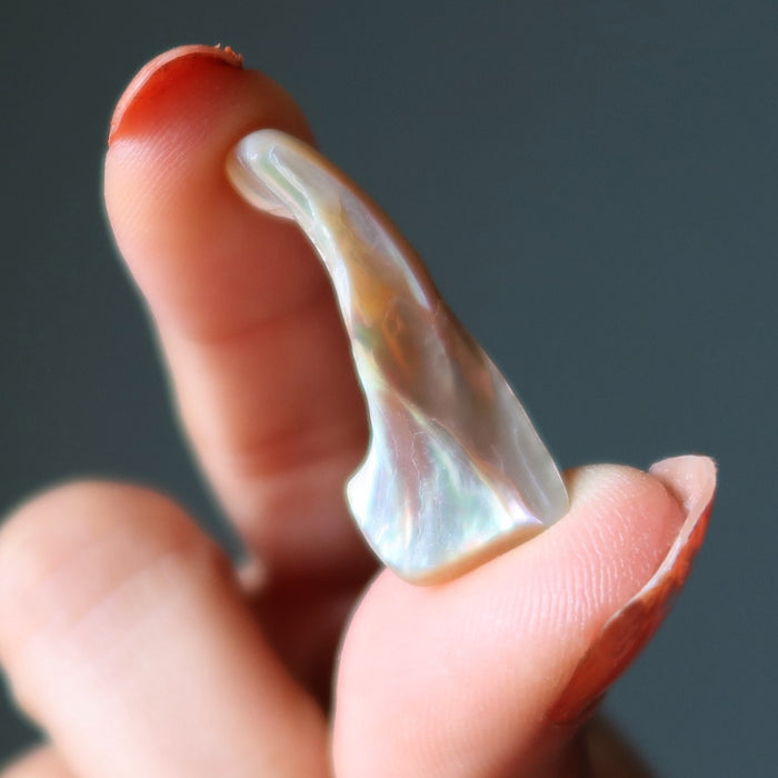 Shell Bundle Creativity Crafting Healing Crystal Energy Sea Set