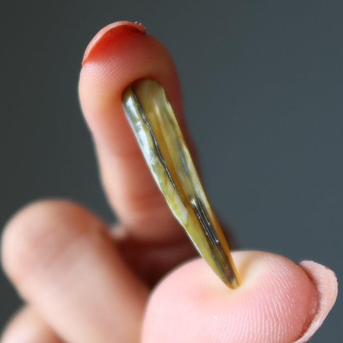 Shell Bundle Creativity Crafting Healing Crystal Energy Sea Set