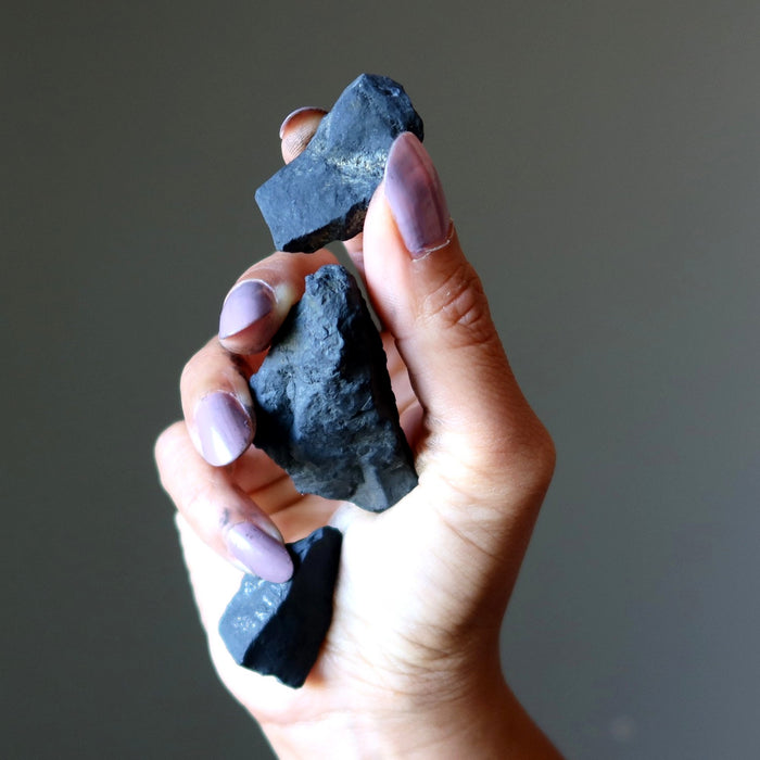 Hand holding three pieces of rough Shungite stone against a neutral background