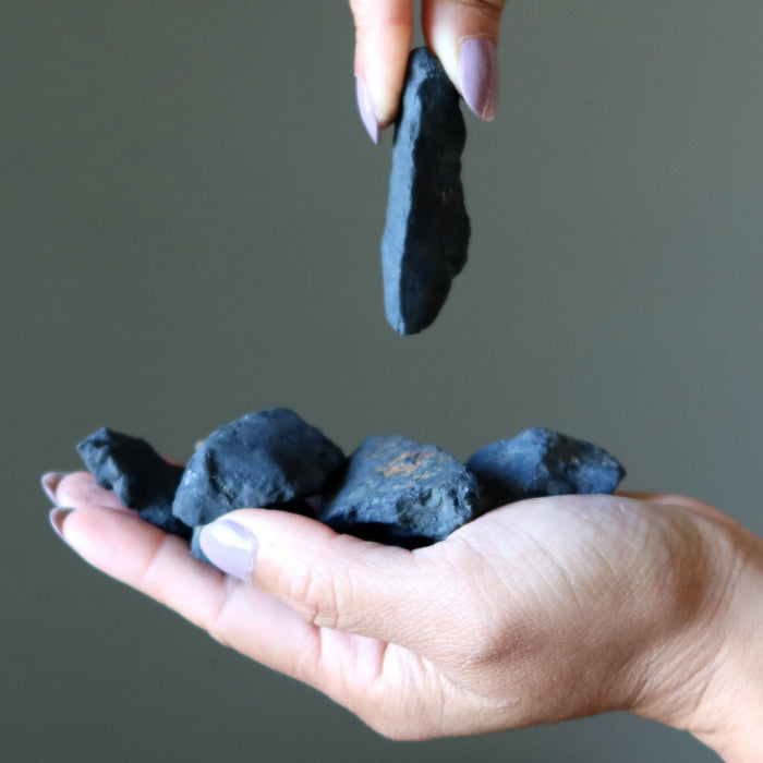 shungite raw stones