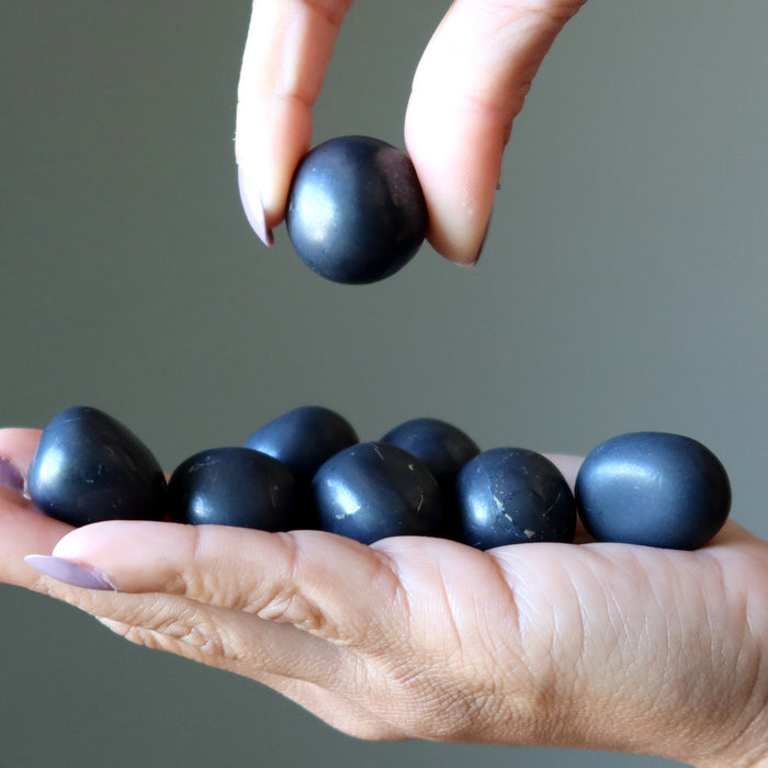 shungite tumbled stones