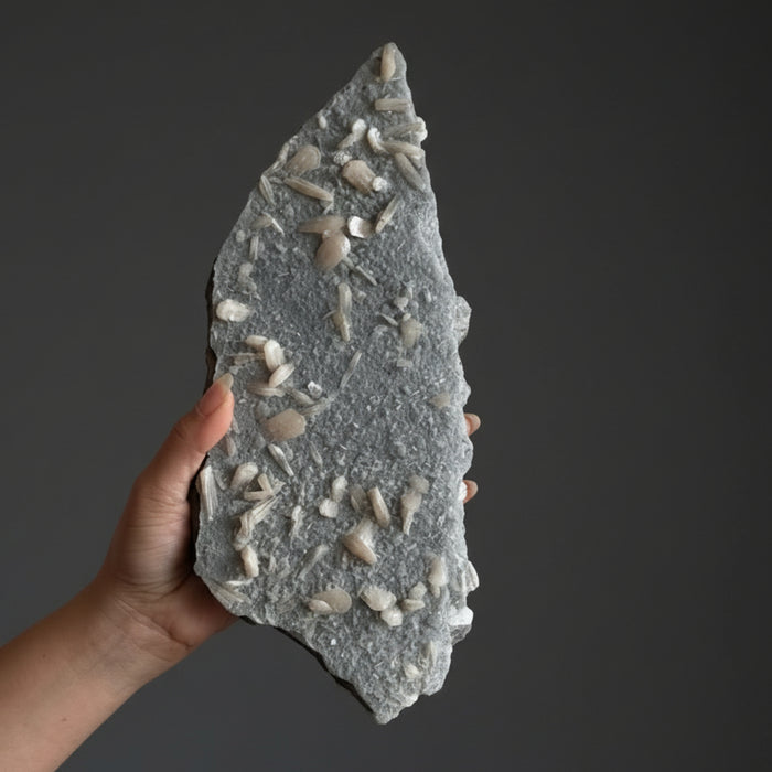 Stilbite Cluster Inner Peace Pink Gray Chalcedony 12 Inch